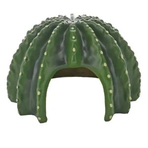Beliebt Hobby Cactus Home 4